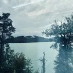 View from the train of Lake Zug seen through trees