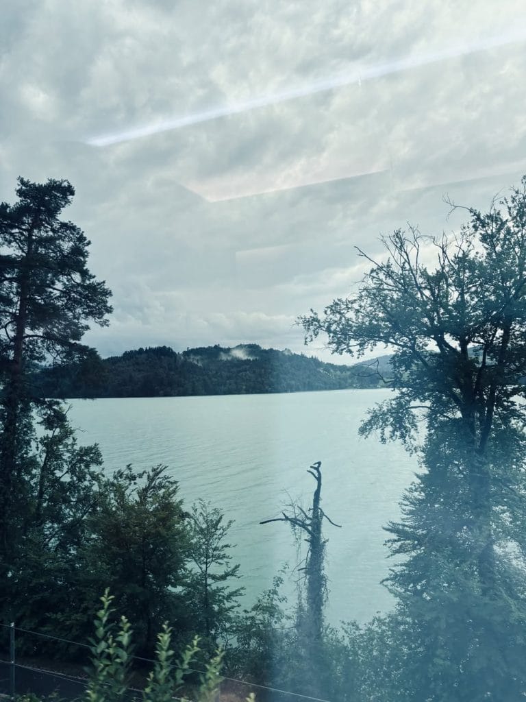 View from the train of Lake Zug seen through trees